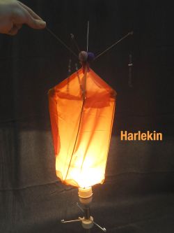 harlekin.jpg