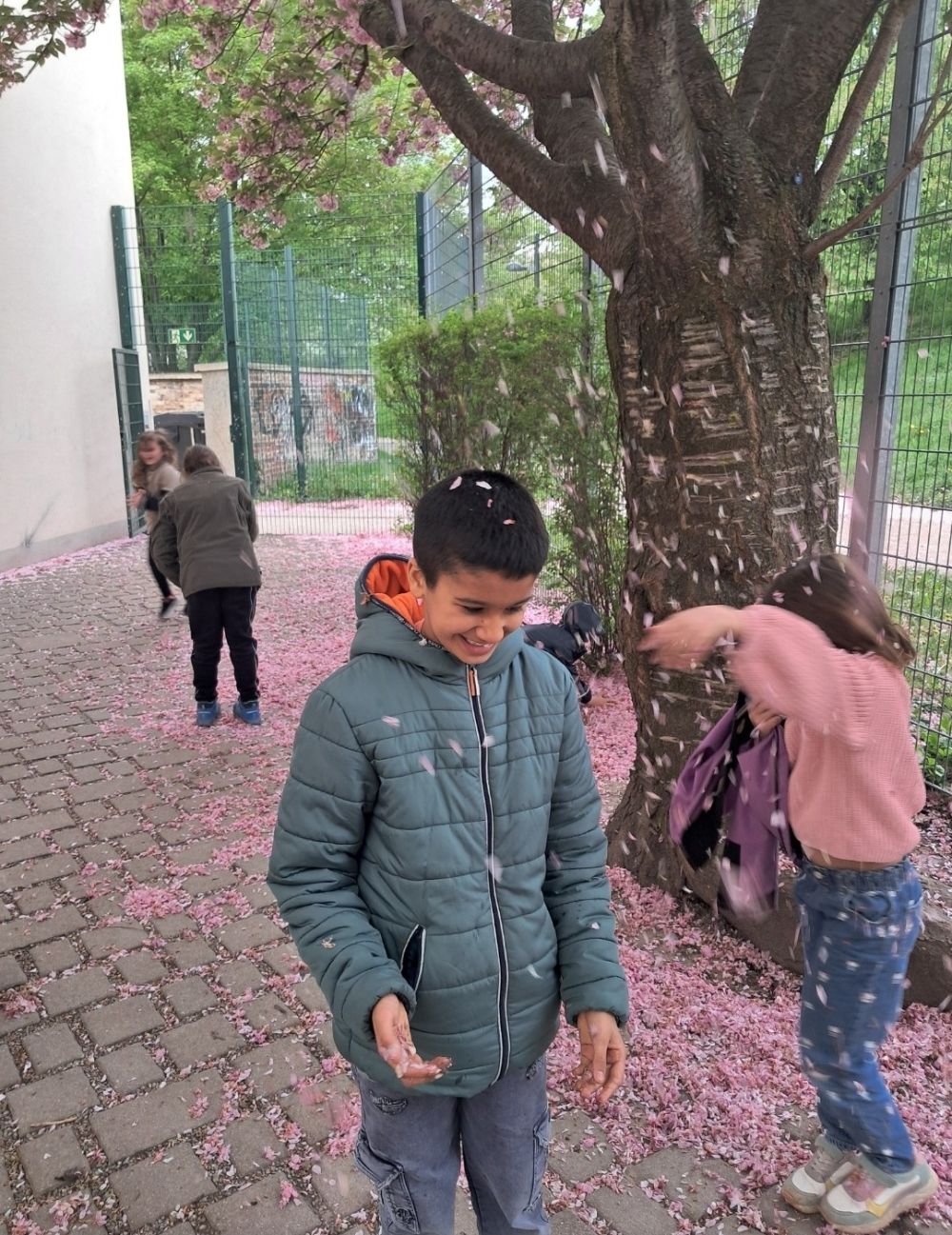 FreiziHomepageFoto6.JPG